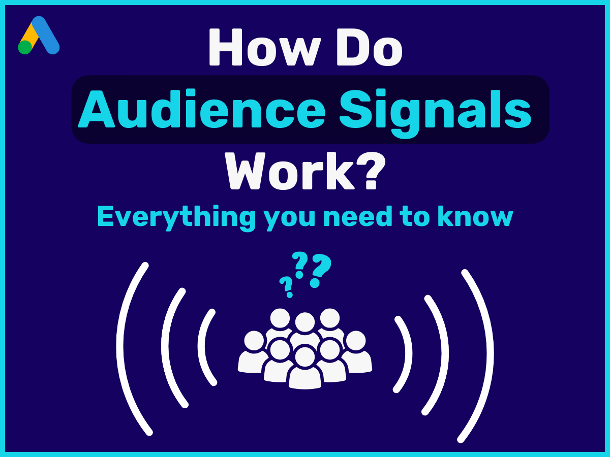 Audience Signals in PMax Campaigns: What You Need to Know